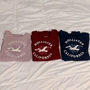 Hollister embroidery logo tees